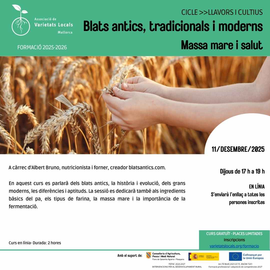 Blats antics, tradicionals i moderns